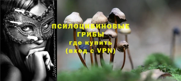apvp Баксан