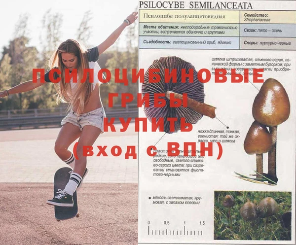 герыч Балахна
